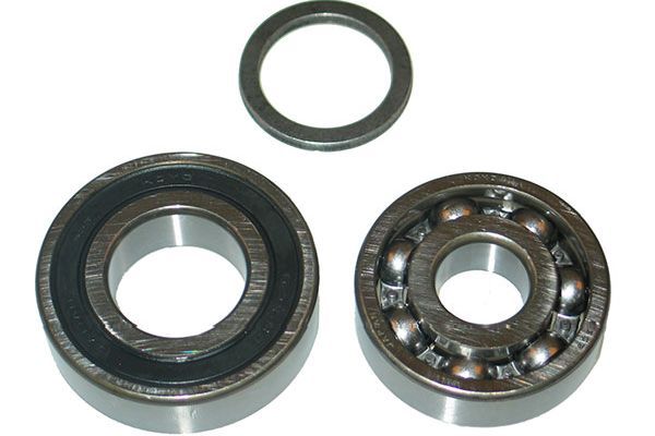 KAVO PARTS Комплект подшипника ступицы колеса WBK-1505